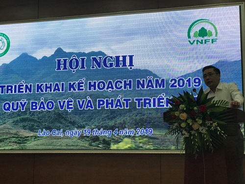 Hội nghị triển khai Kế hoạch năm 2019 về Quỹ Bảo vệ và Phát triển rừng